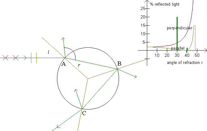 Polarization of the rainbow