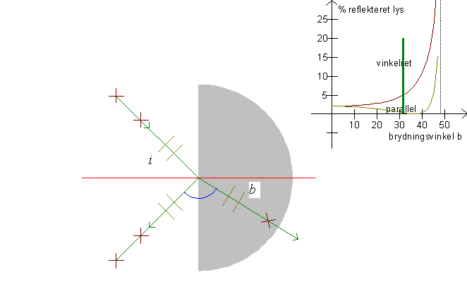 lysets polarisation i vand